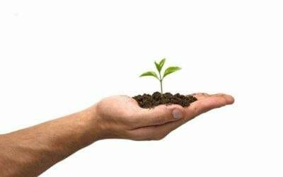 Ich bin wertvoll oder: Werte schaffen, Wert schaffen