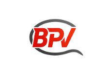 bpv BRAUN PARTNERSCHAFT