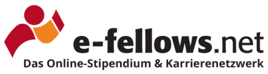 e-fellows.net