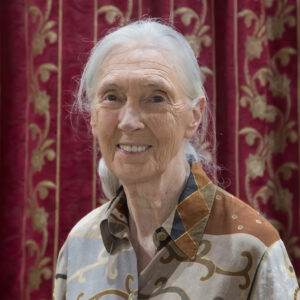 Jane Goodall - Ikigai