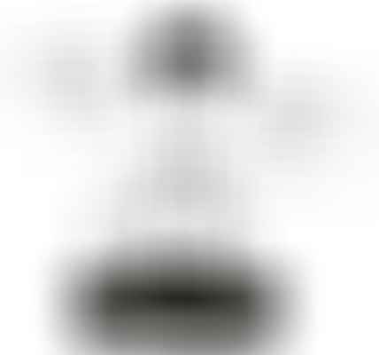 Was Wäre Wenn - Positive Psychologie und Coaching Bonn - Rosebud Tagebuch schreiben